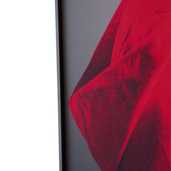 Картина Lumina Deco FP Red Hat 80-120